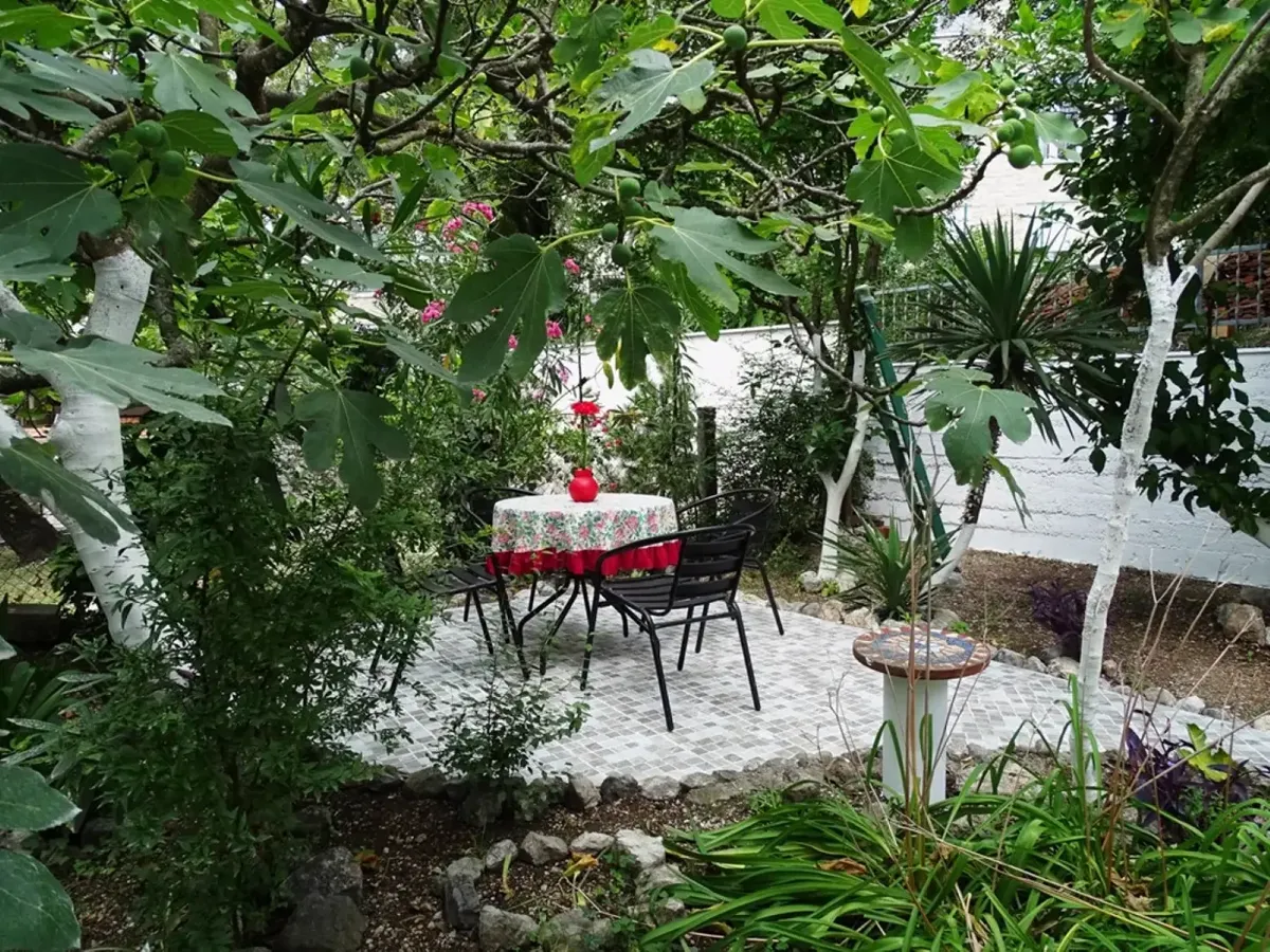 Charming two-bedroom house, Orahovac, Kotor — property view 5